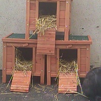 photo de livraison pour Paroles de Chats