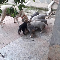 photo de livraison pour Tulay Avcı