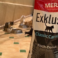 photo de livraison pour Le Coeur sur la Patte