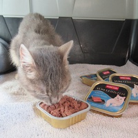 photo de livraison pour Jardin des Chats