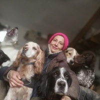 photo de livraison pour Hathi