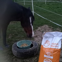 photo de livraison pour Assocheval