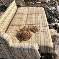 photo de livraison pour Civic Initiative Kane Korzo Skopje