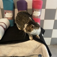 photo de livraison pour APATE