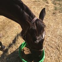 photo de livraison pour Association hippique du Caroux