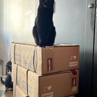 photo de livraison pour Association C.A.T.S. Chat Animal Terrien Solidarité