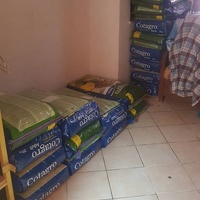 photo de livraison pour SOS Animaux Tunisie