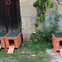 photo de livraison pour Cheval Espoir 33