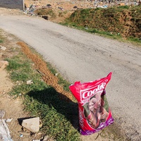 photo de livraison pour Civic Initiative Kane Korzo Skopje