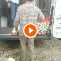 photo de livraison pour Animals voice Macedonia