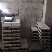 photo de livraison pour L’École du Chat de Saint-Denis Langevin