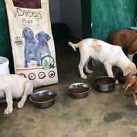 photo de livraison pour Huellas del Valle con Esperanza