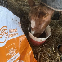 photo de livraison pour Espoir au Galop
