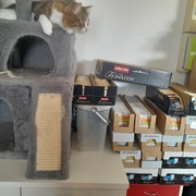 photo de livraison pour La Légende des Chats