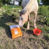 photo de livraison pour Les Crinières de Salherm
