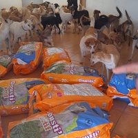 photo de livraison pour Sanctuaire de la Faune de Tanger (SFT)