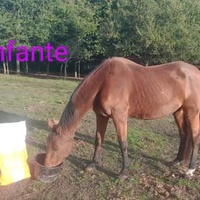 photo de livraison pour Arche et Relais