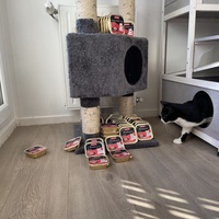 photo de livraison pour Les P’tits Bâtards