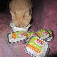photo de livraison pour Jardin des Chats