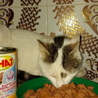 photo de livraison pour Samantha Réaux