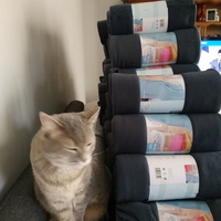 photo de livraison pour Chamaya
