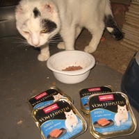 photo de livraison pour Jardin des Chats