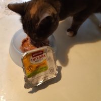 photo de livraison pour Pour l'Amour des Chats