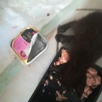 photo de livraison pour Les Chats libres de Calvisson
