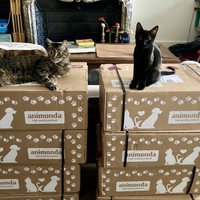 photo de livraison pour Association C.A.T.S. Chat Animal Terrien Solidarité
