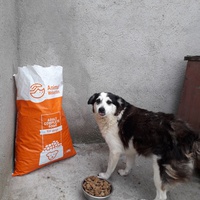 photo de livraison pour Speranta Pentru Animale
