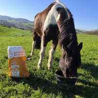 photo de livraison pour Les Crinières de Salherm