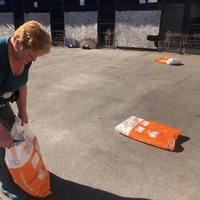 photo de livraison pour Nicoleta Stefanescu