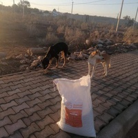 photo de livraison pour 4 Pattes Mogador