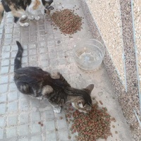 photo de livraison pour Hajar Aourz
