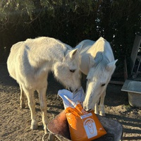 photo de livraison pour Le Souffle d’Éole