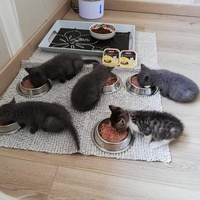 photo de livraison pour Les Pattes de l'Espoir 