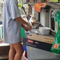 photo de livraison pour Chats Libres de Béziers