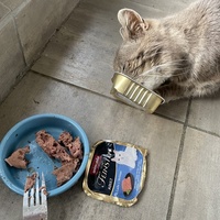 photo de livraison pour Les Chats Perchés de Mirmande