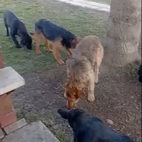 photo de livraison pour Ivana Nikolić