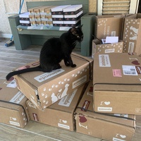 photo de livraison pour Les chats de chez nous