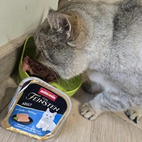 photo de livraison pour Sweety Pets