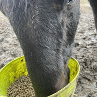 photo de livraison pour Association Equi’souffle