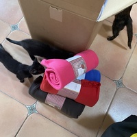 photo de livraison pour Les Chats de Condom 32