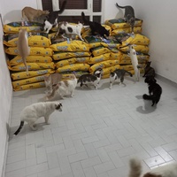 photo de livraison pour Ghita Muller El Jirari