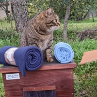 photo de livraison pour Contrôle & Protection des Chats Andréens