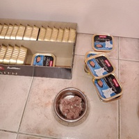 photo de livraison pour A pas de Velours