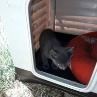 photo de livraison pour Amis de Myrtille