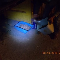 photo de livraison pour Pro Animals Finland ry