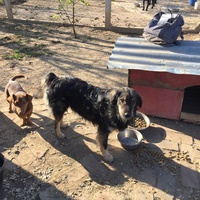 photo de livraison pour Azil Bella