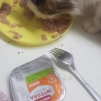 photo de livraison pour Protect Cat